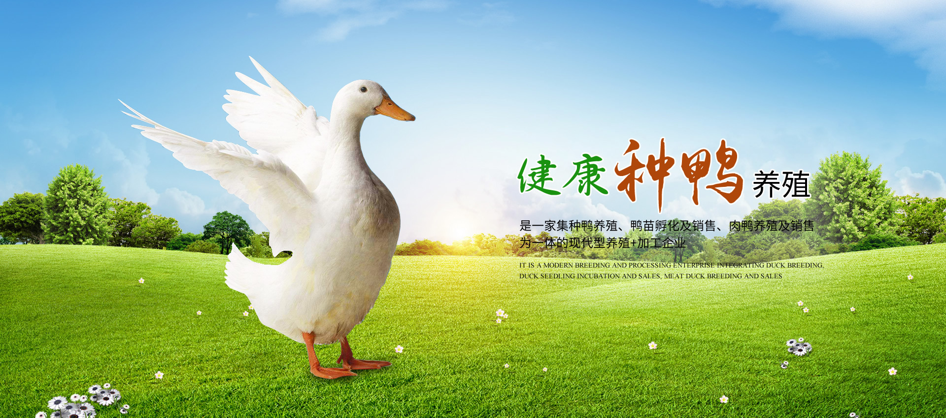 广西南宁市瑞南禽业有限责任公司